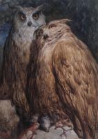 Paul Gustave Dore - Two Owls